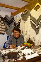 Woman selling knitwear made from Alpaca wool in a craft market close to the harbour. Ushuaia, Antarctica, February 2009.