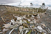 Whale vertebra by the abandoned boat at Mikkelsen Harbour, Trinity Island, Antarctica, February 2009.