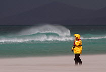 Tourist standing in blowing sand on a stormy beach. The Neck, Saunders Island, Falkland Islands, 2009.