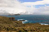 Mountains seen across the Bay of Isles and the Tussock grass (Poa flabellata) of Prion Island, South Georgia, 2009.