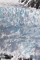 Seracs (columns of ice) on a glacier on the East coast of Drygalski Fjord, South Georgia, 2009.