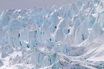 Seracs (columns of ice) on a glacier on the East coast of Drygalski Fjord. South Georgia, 2009.