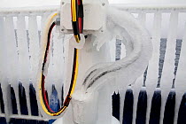 Iced up wires on board ship following rough passage, Antarctica, 2009.