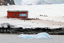 Refuge hut built by the 1954-55 Argentine Expedition, on the shore at Mikkelsen Harbour, Trinity Island, Antarctica, 2009.
