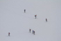 Tourists in poor visibility during a skiing trip on Trinity Island, Antarctica, 2009.