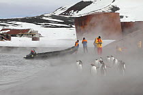 Tourists and Gentoo penguins (Pygoscelis papua) standing on steaming volcanic beach at Whalers Bay, with the abandoned whaling station beyond. Deception Island, South Shetland Islands, Antarctica, 200...