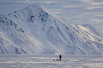 Yupik Eskimo man catching Ascidians in winter under the ice of Tkachen Bay. Chukotskiy Peninsula, Chukotka, Siberia, Russia, 2010