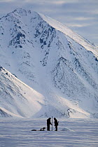 Yupik Eskimos catching Ascidians in winter under the ice of Tkachen Bay. Chukotskiy Peninsula, Chukotka, Siberia, Russia, 2010