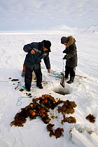 Yupik Eskimo couple catching Ascidians in winter under the ice of Tkachen Bay. Chukotskiy Peninsula, Chukotka, Siberia, Russia, 2010