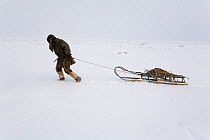 Chukchi reindeer herder dragging sled on his way to check the herd. Chukotskiy Peninsula, Chukotka, Siberia, Russia, spring 2010