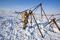 Chukchi reindeer herder erecting frame of a Yaranga (traditional tent). Chukotskiy Peninsula, Chukotka, Siberia, Russia, spring 2010