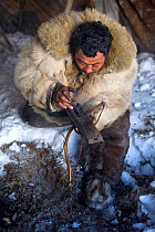 Chukchi herder preparing to make fire with traditional fire making device during ritual. Chukotskiy Peninsula, Chukotka, Siberia, Russia, spring 2010
