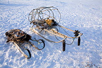 Two Chukchi sleds holding dried reindeer meat and sacred objects placed on them during traditional Chukchi ritual. Chukotskiy Peninsula, Siberia, Russia, spring 2010