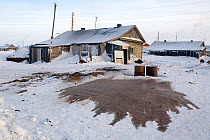 Wet ground outside house; few houses have toilets so most people use buckets that they empty outside their homes. Neshkan, Chukotskiy Peninsula, Chukotka, Siberia, Russia, 2010