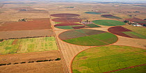 Irrigation crop circles as seen from the air east of Potchefstroom, South Africa, April 2009