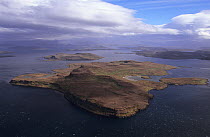 Aerial view of Ile Haute in Morbihan gulf, Kerguelen archipelago, Sub-antarctic, Territory of the French Southern and Antarctic Lands, December 1999