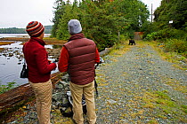 Photographers watching Black bears (Ursus americanus) at Thorton Creek, Barkley Sound, Vancouver Island, Canada.
