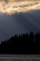 Sunrays shining through clouds onto coniferous forest on the coast of Vancouver Island, British Columbia, Canada.