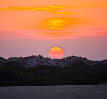 Sun setting over the sand dunes, Donana NP, Huelva, Andalucia, Spain