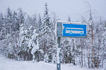 Winter landscape with bus stop in Taiga woodland, Lappland, Finland, February 2007