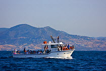 Boat takes tourists out for whale / dolphin watching, Tarifa, Cadiz, Parque Natural del Estrecho, Andalucia, Spain, July 2008