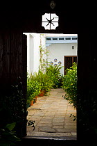Courtyard garden viewed through open doorway, Medina Sidonia, Nr Cadiz, Andalucia, Spain, July 2008