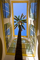 Tall palm tree growing up through roof in narrow courtyard, Palacio del Marques de Tamaron, 17th Century mansion house, Vejer de la Frontera, Nr Cadiz, Andalucia, Spain, August 2008