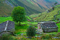 Traditional stone huts in mountain landscape,  Vega de Pas, Cordillera cantabrica, Cantabria, Northern Spain, October 2006