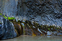 Alcantara River Canyon with basalt lava columns, and rocks covered in algae, Mount Etna, Sicily, Italy