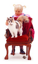 Young girl with toy mouse and tricolour cat on a child's chair. Mouse hiding under the chair. For 'Pussy cat, pussy cat where have you been?...' Digital composite. Model released