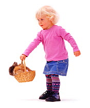 Young girl playing with rabbits in a basket. Model released