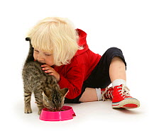 Young blonde girl,  feeding a tabby kitten. Model released