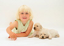 Portrait of young blonde haired girl, lying down with with two Golden Retriever puppies. Model released