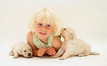 Portrait of young blonde haired girl, lying down with with two Golden Retriever puppies. Model released