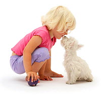 Portrait of young blonde haired girl playing with West Highland White Terrier puppy. Model released