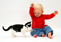 Black-and-white kitten playing with toddler. Model released
