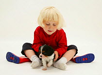 Young blonde haired girl, sitting with King Charles Spaniel puppy and taking off welly boots. Model released