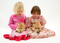 Two young girls, in pink dresses, sitting playing with pet rabbits. Model released