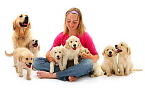 Girl aged 12, with Golden Retriever bitch and her seven puppies. Model released
