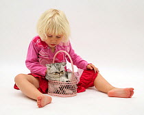 Young girl with blonde hair, wearing a pink dress, playing with silver exotic cat in a basket. Model released