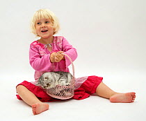 Portrait of young girl with blonde hair, wearing a pink dress, playing with silver exotic cat in a basket. Model released