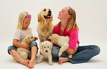 Two girls sitting with Golden Retriever female and her three puppies. Model released