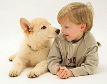 Young boy aged 6 years, lying down with his white German Shepherd puppy. Model released