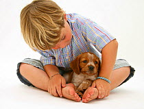 Portrait of young boy aged 4 years, with his Brittany Spaniel puppy. Model released