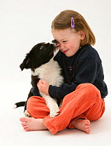 Young girl aged 4, being licked by a Border Collie puppy. Model released