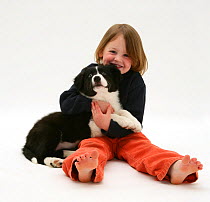 Portrait of young girl, holding with her black-and-white Border Collie puppy. Model released