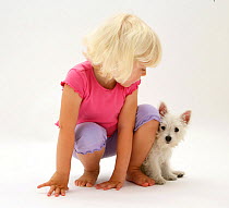Young blonde haired girl sitting with West Highland White Terrier puppy. Model released