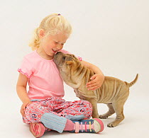 Young blonde haired girl playing with a Shar-pei puppy Model released
