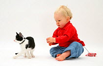 Toddler trying to get black-and-white kitten to play with a catnip mouse. Model released
