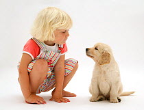 Portrait of young blonde haired girl sitting with Golden Retriever puppy. Model released